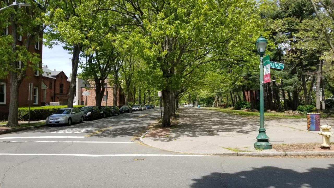 Lovely 2Br Apartment By Wooster Square- Great Neighborhood New Haven Exteriör bild